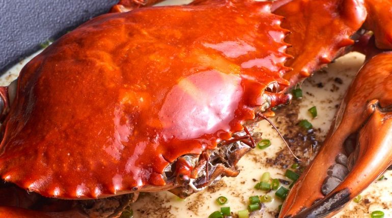 crabs-from-the-tank
