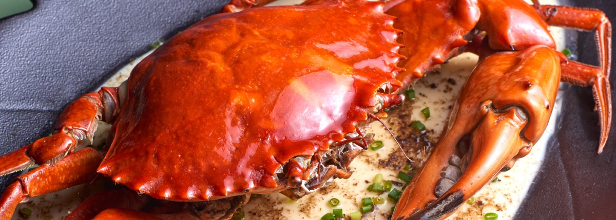 30% Off All Live Crabs